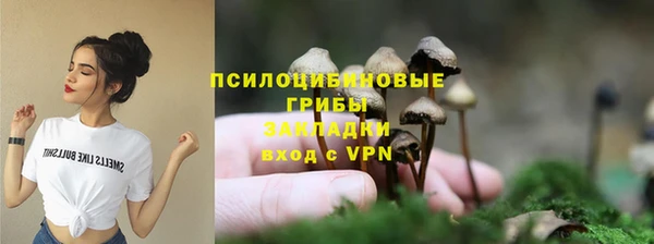 ГАЛЛЮЦИНОГЕННЫЕ ГРИБЫ Алзамай