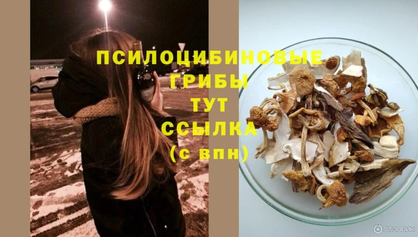 прущая мука Алексеевка